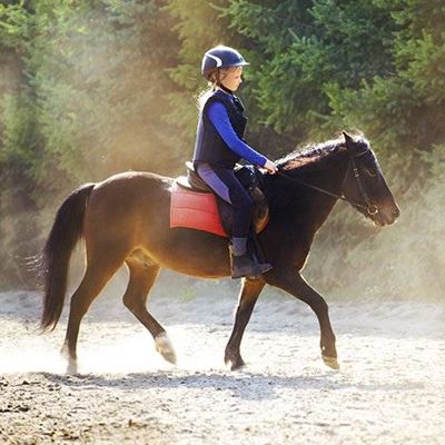 HORSE, PONY, SADDLE, REINS, TROTTING, RIDING, EQUESTRIAN, BRIDLE, GALLOP
