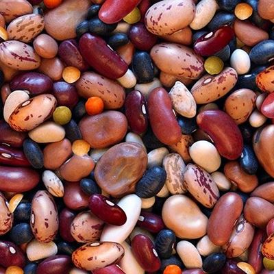 LENTILS, HEALTHY, SEEDS, FAVA, COOKING, BEANS, PINTO, VEGETARIAN
