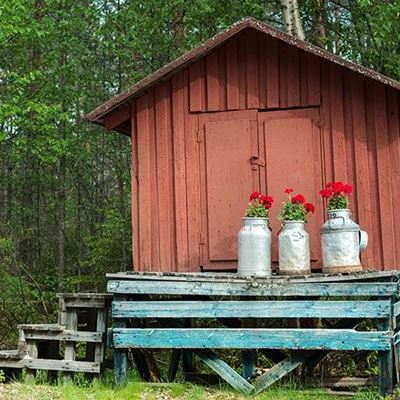 FLOWERS, PRETTY, RURAL, THREE, CANISTERS, ROOF, STEPS, FOREST, COUNTRYSIDE