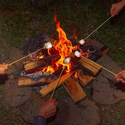 CAMPFIRE, FLAMES, MARSHMALLOW, STICK, FIRE, WOOD, BURNING, CHARCOAL, EMBERS