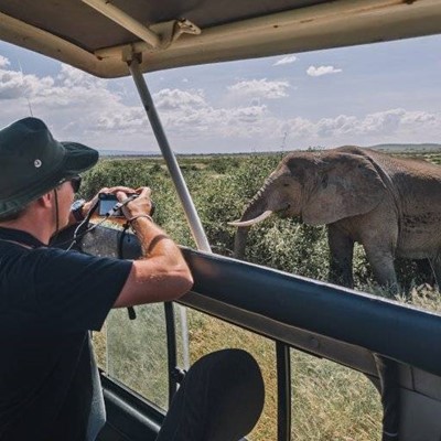 TRUNK, CAMERA, SUNGLASSES, TSHIRT, WILD, VEHICLE, SAFARI, BUSHES, ELEPHANT, TUSK, TOURIST