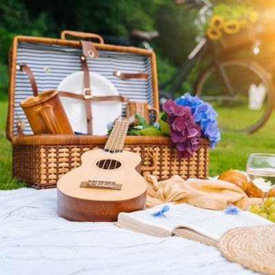 HAMPER, BICYCLE, PLATES, BLANKET, GRASS, FLOWERS, UKULELE, BOOK, BUCKLE, STRAPS, MUG, STRIPES