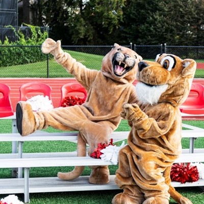 MASCOT, SEATS, LION, TIGER, TEETH, POMPOMS, COSTUME, TAIL, TRACK, FENCE, SPORT, GRASS
