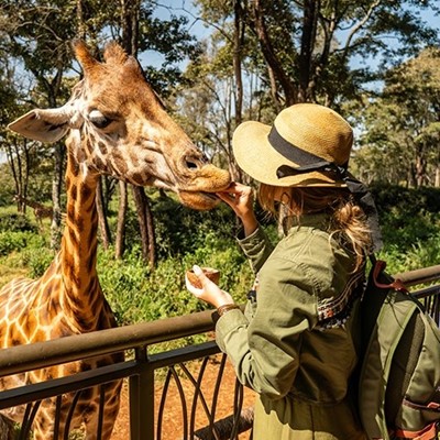 SPOTS, HAT, BACKPACK, RAIL, FEEDING, WILDLIFE, GIRAFFE, BOW, TOURIST, HAND, KHAKI, EARS, TREES