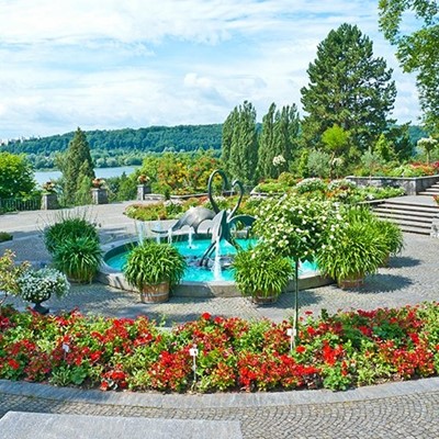 WATER, FLAMINGO, SCULPTURE, POND, BUSHES, BARREL, GARDEN, VIEW, TREES, AQUA, FLOWERS
