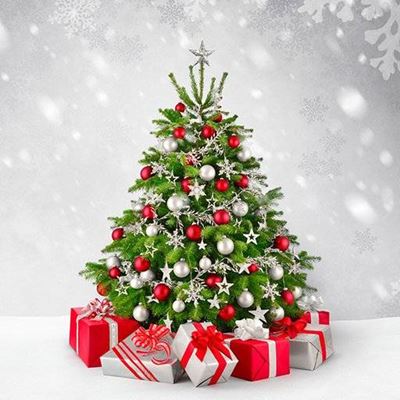 TREE, STAR, BAUBLE, PARCEL, WRAPPING, GIFT, SNOWFLAKE, CHRISTMAS, PRESENT