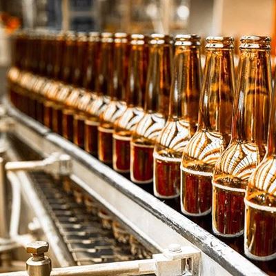 BOTTLES, BEER, GLASS, LABEL, BROWN, PROCESS, LINE, PACKING, INDUSTRY