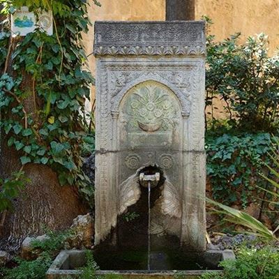 FOUNTAIN, WATER, BARK, LEAVES, PLANTS, TROUGH, STONE, CARVING, NOTICE