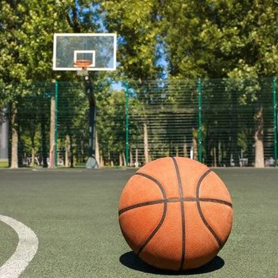 BASKETBALL, COURT, HOOP, TREES, SURFACE, ROUND, FENCE, BACKBOARD, LINE