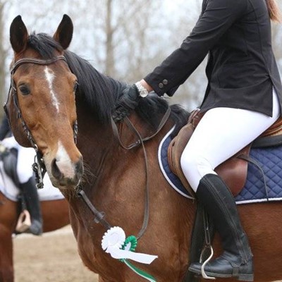 HORSE, ROSETTE, MANE, WATCH, JODHPURS, LEATHER, RIDER, SADDLE, STIRRUP, REINS, JACKET, BLANKET