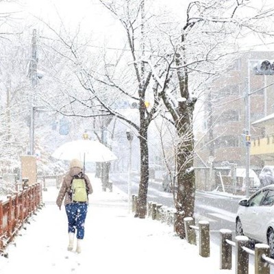 FOOTPRINTS, UMBRELLA, RAILING, CAR, POST, CABLE, COAT, WINTER, SNOWFALL, BACKPACK, STREET, ROAD, COLD