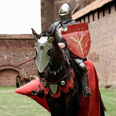 KNIGHT, STIRRUP, BREASTPLATE, METAL, HISTORICAL, SHIELD, SWORD, HELMET, BRICKS, GRASS, HORSE, CLOTH