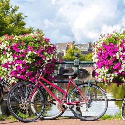 SADDLE, FRAME, CHAIN, BRIDGE, CLOUDS, TREES, HANDLEBARS, WHEELS, BICYCLE, WATER, FLOWERS, SPOKES