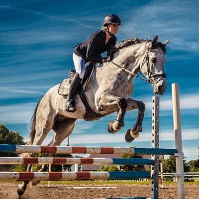 JUMP, MANE, HOOVES, EQUESTRIAN, SADDLE, REINS, BRIDLE, HORSE, RIDER, COMPETITION, HELMET, STIRRUPS, BOOTS